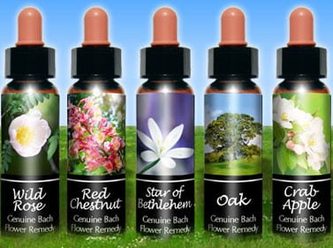 blog1 Top Bach Flower Picks For Addiction